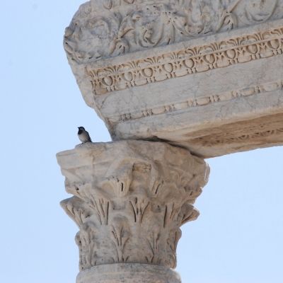 Η Μέρα των Λαοδικέων